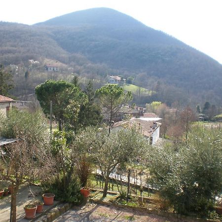 Locanda-Trattoria Al Rio Cinto Euganeo ภายนอก รูปภาพ